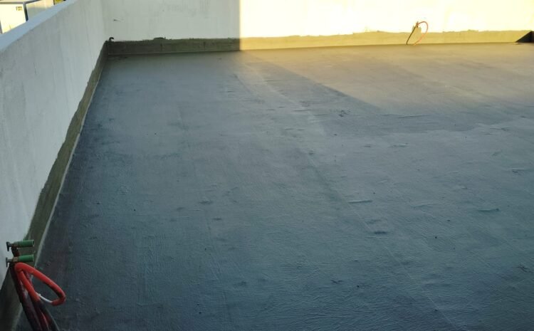 WhatsApp Image 2025-02-19 at 16.50.05