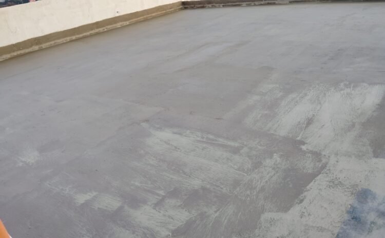 WhatsApp Image 2025-03-07 at 17.36.12